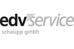 Logo EDV Service